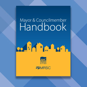 MayorCouncilBook